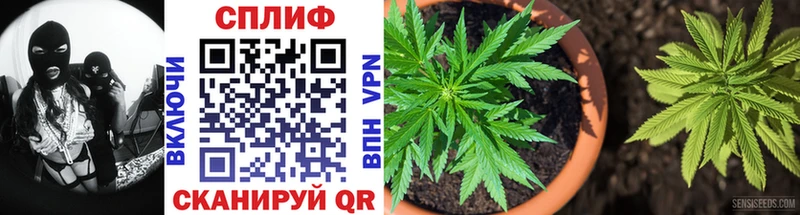 Бошки Шишки LSD WEED Волхов