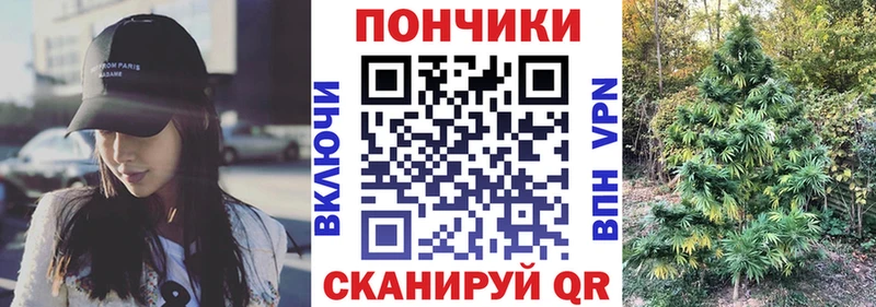 Купить где  Волхов  Бошки Шишки сатива 